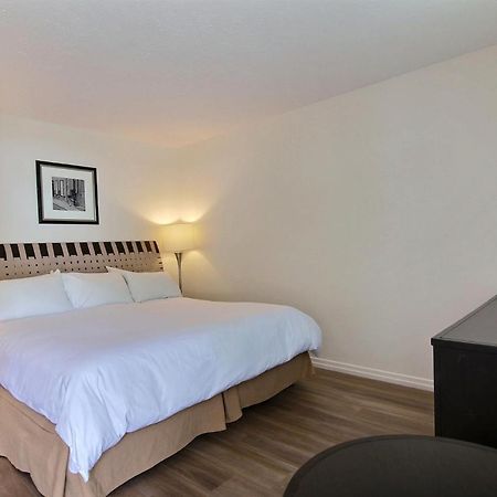 Motel de la montagne Orford Extérieur photo